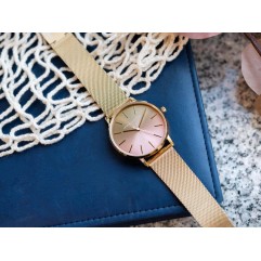 Чоловічий годинник ARMANI EXCHANGE AX5619 Lola