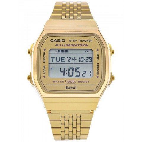 Чоловічий годинник CASIO ABL-100WEG-9AEF