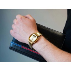 Годинник CASIO AQ-240EG-9AEF Vintage Collection