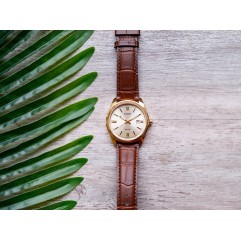 Чоловічий годинник CASIO MTP-1302PGL-9AVEF