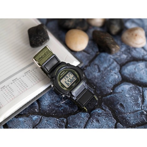 Чоловічий годинник CASIO W-219HB-3AVEF