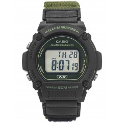 Чоловічий годинник CASIO W-219HB-3AVEF