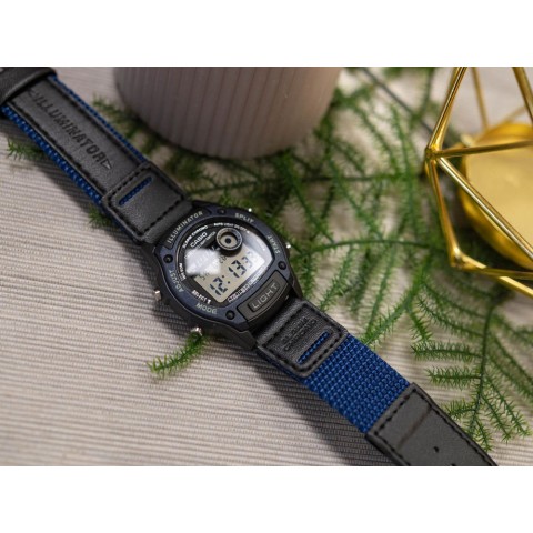 Чоловічий годинник CASIO W-220HF-2AVEF