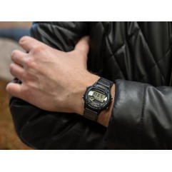 Чоловічий годинник CASIO W-220HF-2AVEF