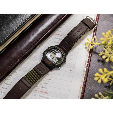 Чоловічий годинник CASIO W-220HF-3AVEF