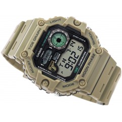 Чоловічий годинник CASIO WS-1700H-5AVEF