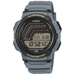 Годинник CASIO WS-1800-2AVEF