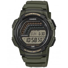 Годинник CASIO WS-1800-3AVEF
