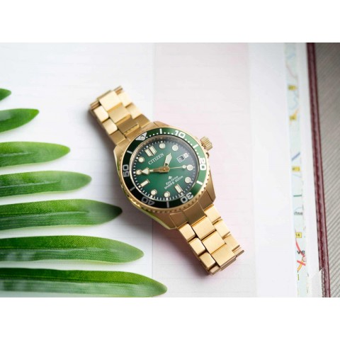 Чоловічий годинник Citizen BN0262-59W Promaster Marine Diver Eco-Drive