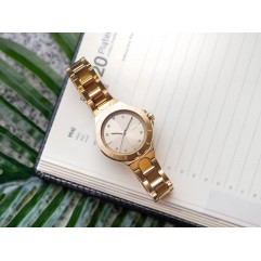 Жіночий годинник DKNY Chambers NY6655