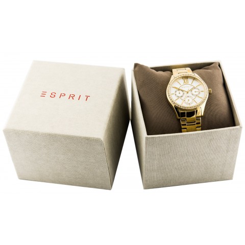 Чоловічий годинник ESPRIT ES108351002