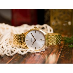 Чоловічий годинник FESTINA CLASSIC F16746/1
