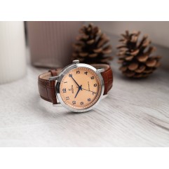 Чоловічий годинник FESTINA F20660/2 Petite