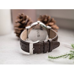 Чоловічий годинник FESTINA F20660/6 Petite