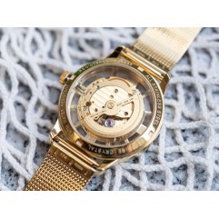 Чоловічий годинник FESTINA F20667/1 Automatic Skeleton