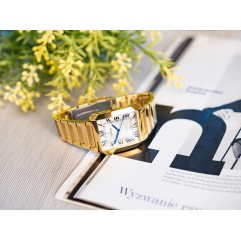 Чоловічий годинник FESTINA F20678/1 Classic