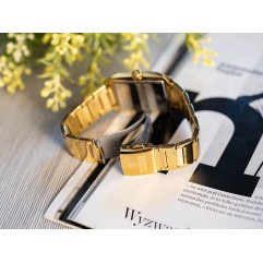 Чоловічий годинник FESTINA F20678/4 Classic