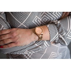 Жіночий годинник FOSSIL Dayle BQ3596