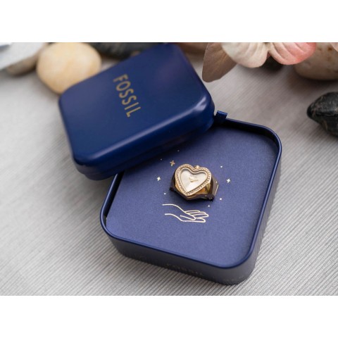 Чоловічий годинник FOSSIL ES5407 Watch Ring