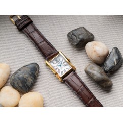 Чоловічий годинник FOSSIL FS6011 Carraway