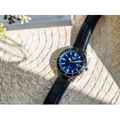 Чоловічий годинник LORUS RX317AX9 Solar
