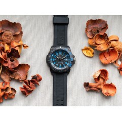 Чоловічий годинник Luminox X2.2053 Sea Lion