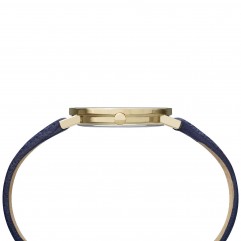 Жіночий годинник PIERRE CARDIN CBV.1505