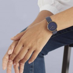 Жіночий годинник PIERRE CARDIN CBV.1505