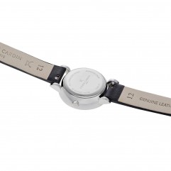 Жіночий годинник PIERRE CARDIN CCM.0504