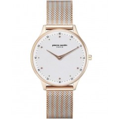 Годинник PIERRE CARDIN PC902722F204
