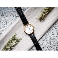 Чоловічий годинник Q&Q C00A-007PY