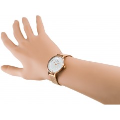 Жіночий годинник SKAGEN Anita SKW2151