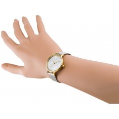 Жіночий годинник SKAGEN Anita SKW2340