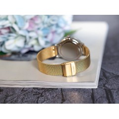 Жіночий годинник SKAGEN SKW3092 Riis