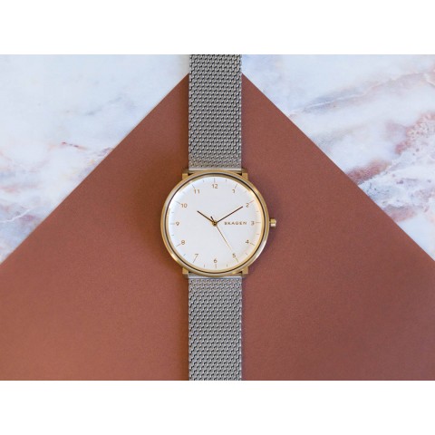 Чоловічий годинник SKAGEN Hald SKW6170