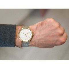 Чоловічий годинник SKAGEN Hald SKW6170