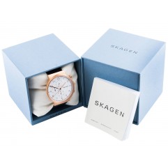 Чоловічий годинник SKAGEN Hald SKW6170