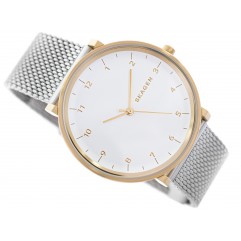 Чоловічий годинник SKAGEN Hald SKW6170