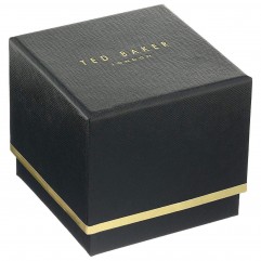 Чоловічий годинник TED BAKER TE50011008