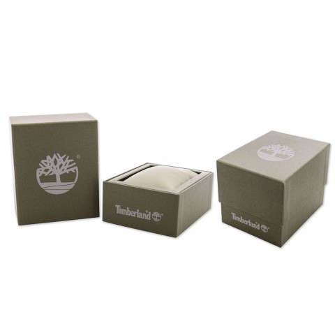 Чоловічий годинник TIMBERLAND TDWGC2102402 Aldridge