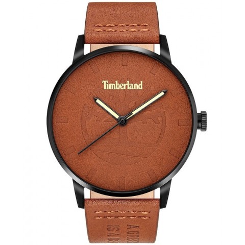 Чоловічий годинник TIMBERLAND TDWJA2000801 Raycroft