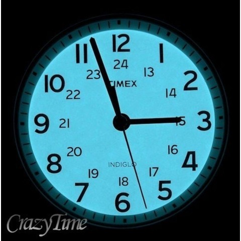 Чоловічий годинник TIMEX T2N837