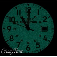 Чоловічий годинник TIMEX T49963