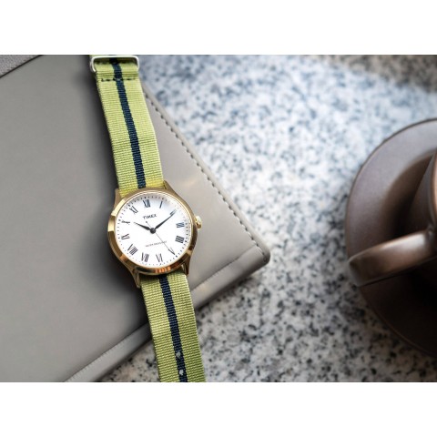 Жіночий годинник TIMEX TW2U45000LG