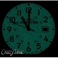 Чоловічий годинник TIMEX TW4B01900