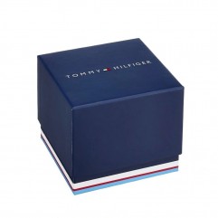 Чоловічий годинник TOMMY HILFIGER 1792139 Windsurf